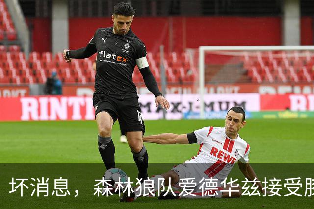 坏消息，森林狼队爱德华兹接受膝关节镜手术，将缺席两个月