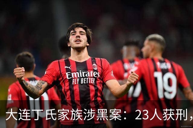 大连丁氏家族涉黑案：23人获刑，涉案资产2.05亿元（2019）