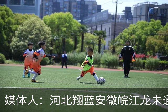 媒体人：河北翔蓝/安徽皖江龙未通过准入审查 缺席新赛季NBL