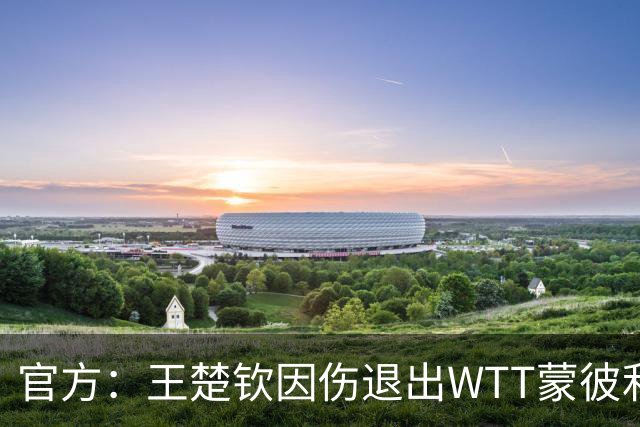 官方：王楚钦因伤退出WTT蒙彼利埃冠军赛 安宰贤递补