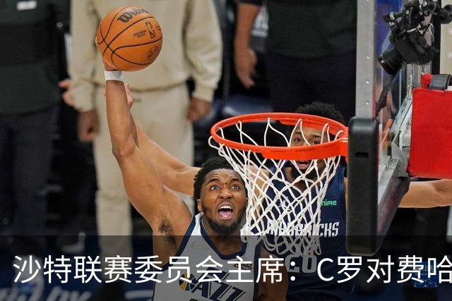 沙特联赛委员会主席：C罗对费哈的进球等待最终裁定