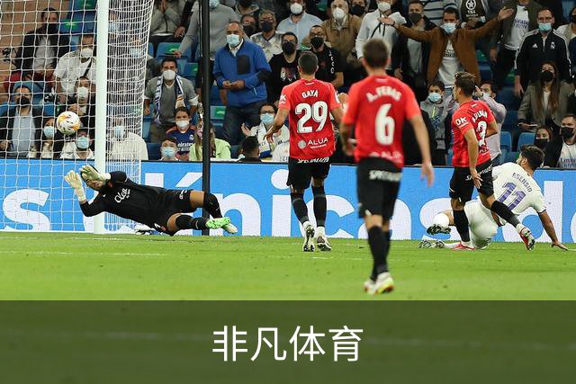 非凡体育公司简介