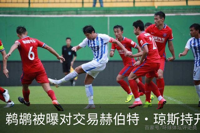 鹈鹕被曝对交易赫伯特·琼斯持开放态度，Stein辟谣：没这意愿