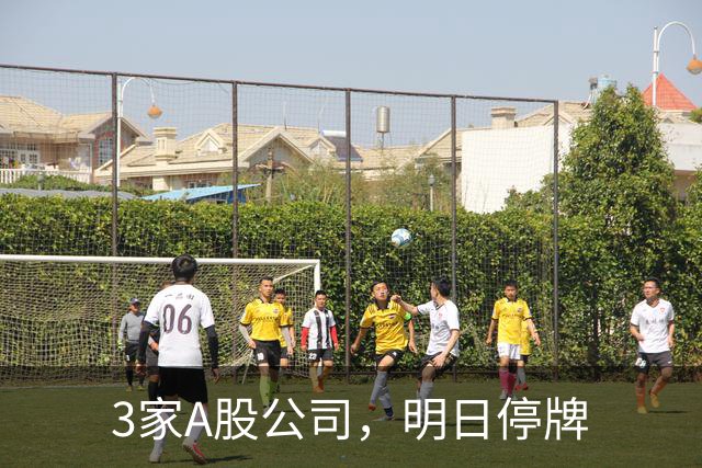 3家A股公司，明日停牌