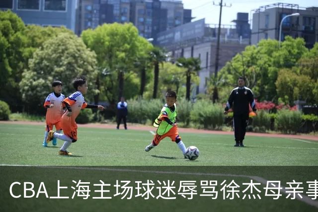CBA上海主场球迷辱骂徐杰母亲事件全解析