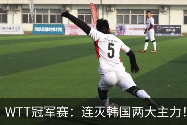 WTT冠军赛：连灭韩国两大主力！林诗栋3-0安宰贤，下轮战莫雷加德